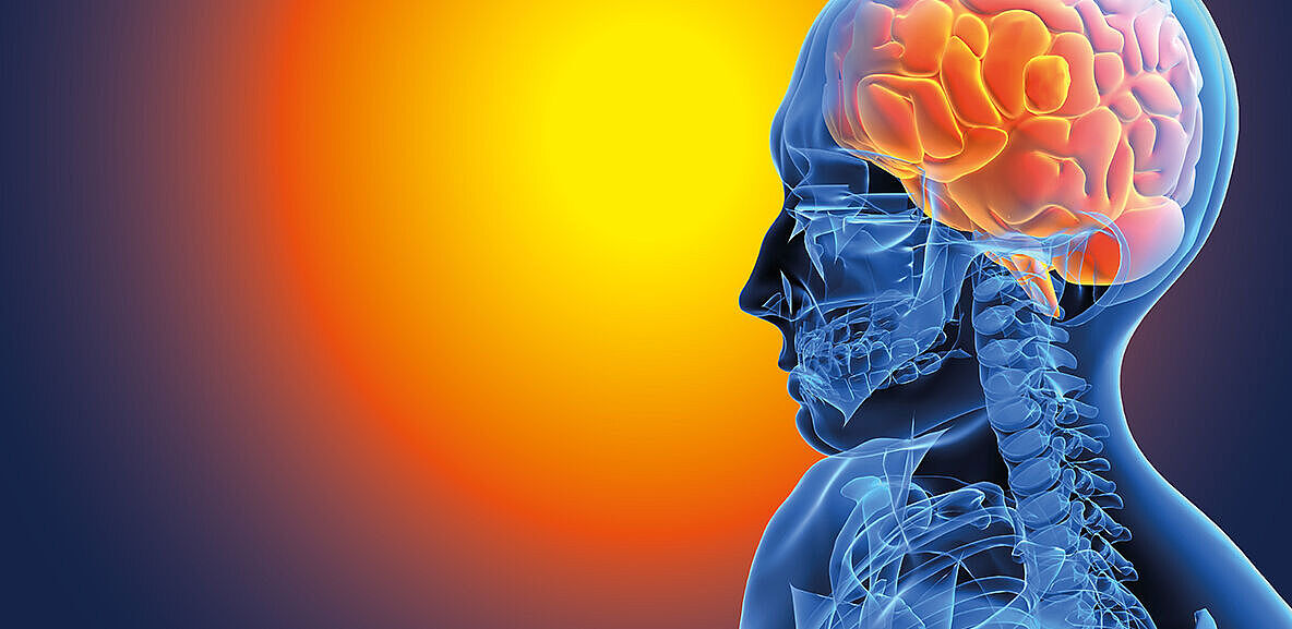 7. Summer School Neurorehabilitation 2026