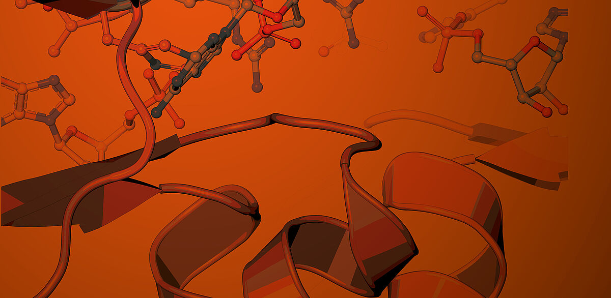 Vortragsreihe LIFE SCIENCES